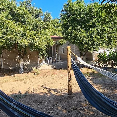Orange Beach Camp Beldibi  Ngoại thất bức ảnh